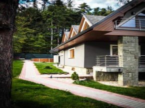 Villa in Moravia with hot tub